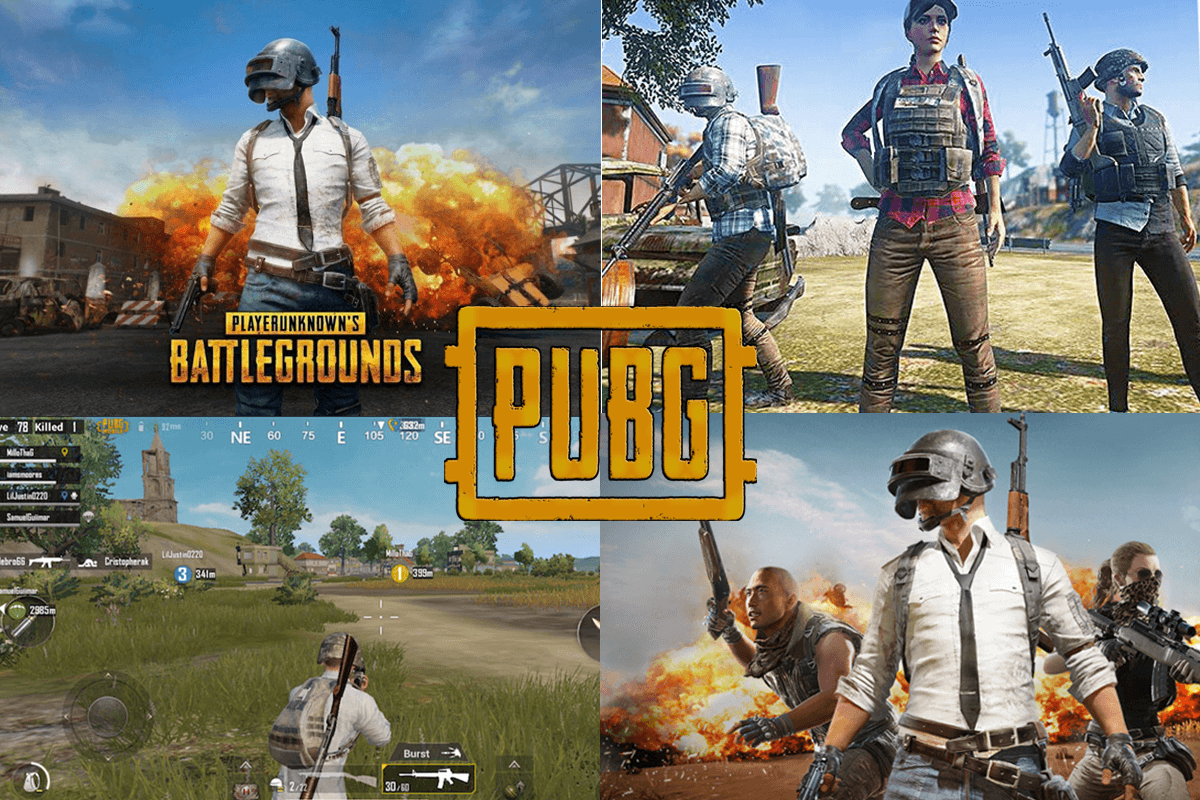 How Much Will it Cost to Develop a Mobile Game like PUBG