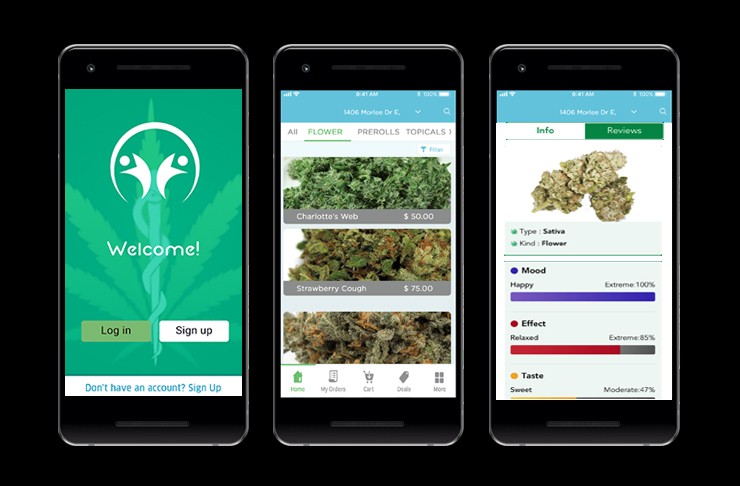 cost of developing marijuana delivery mobile applications like Weedmaps